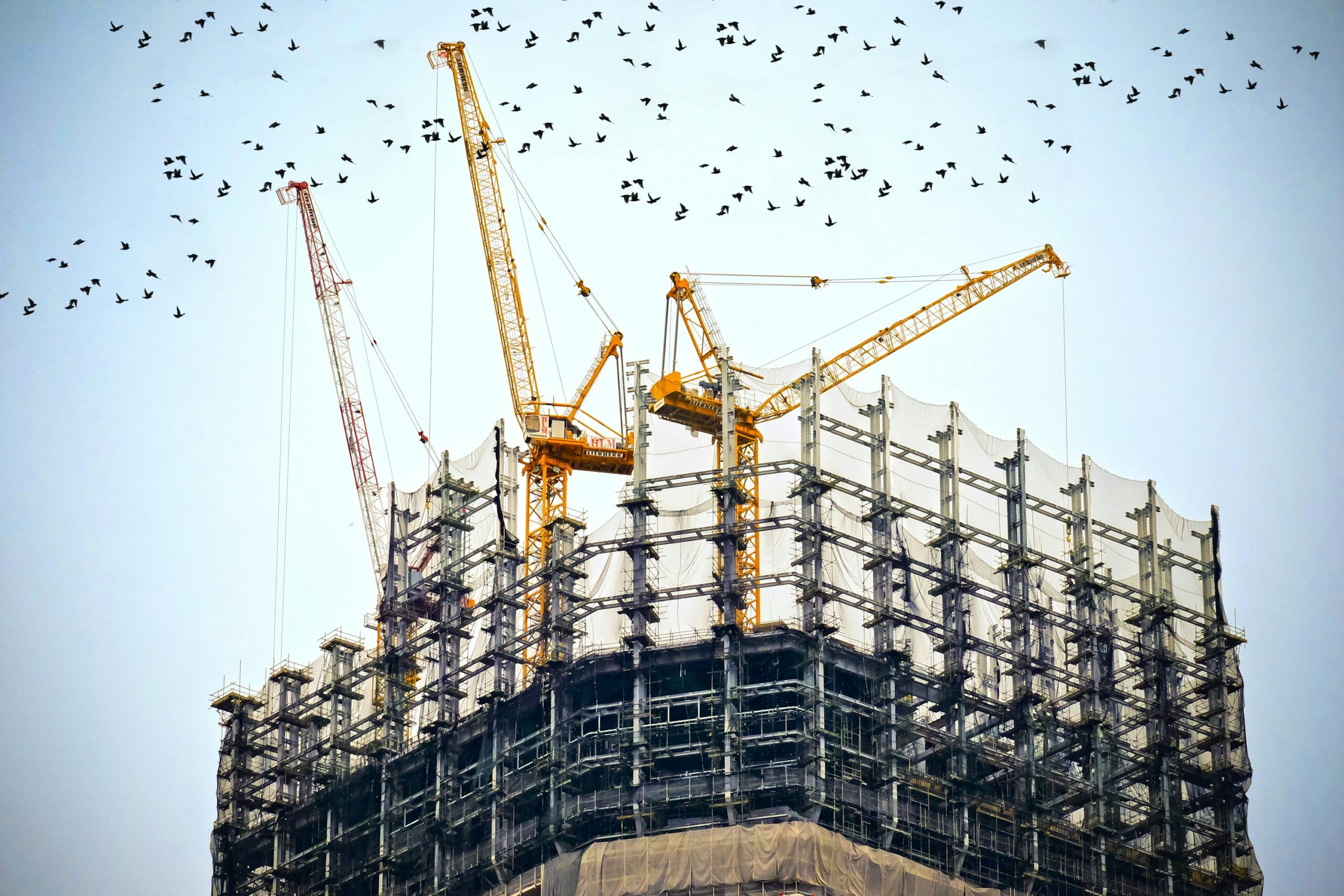 Real-World Success: Factory I/O in Action